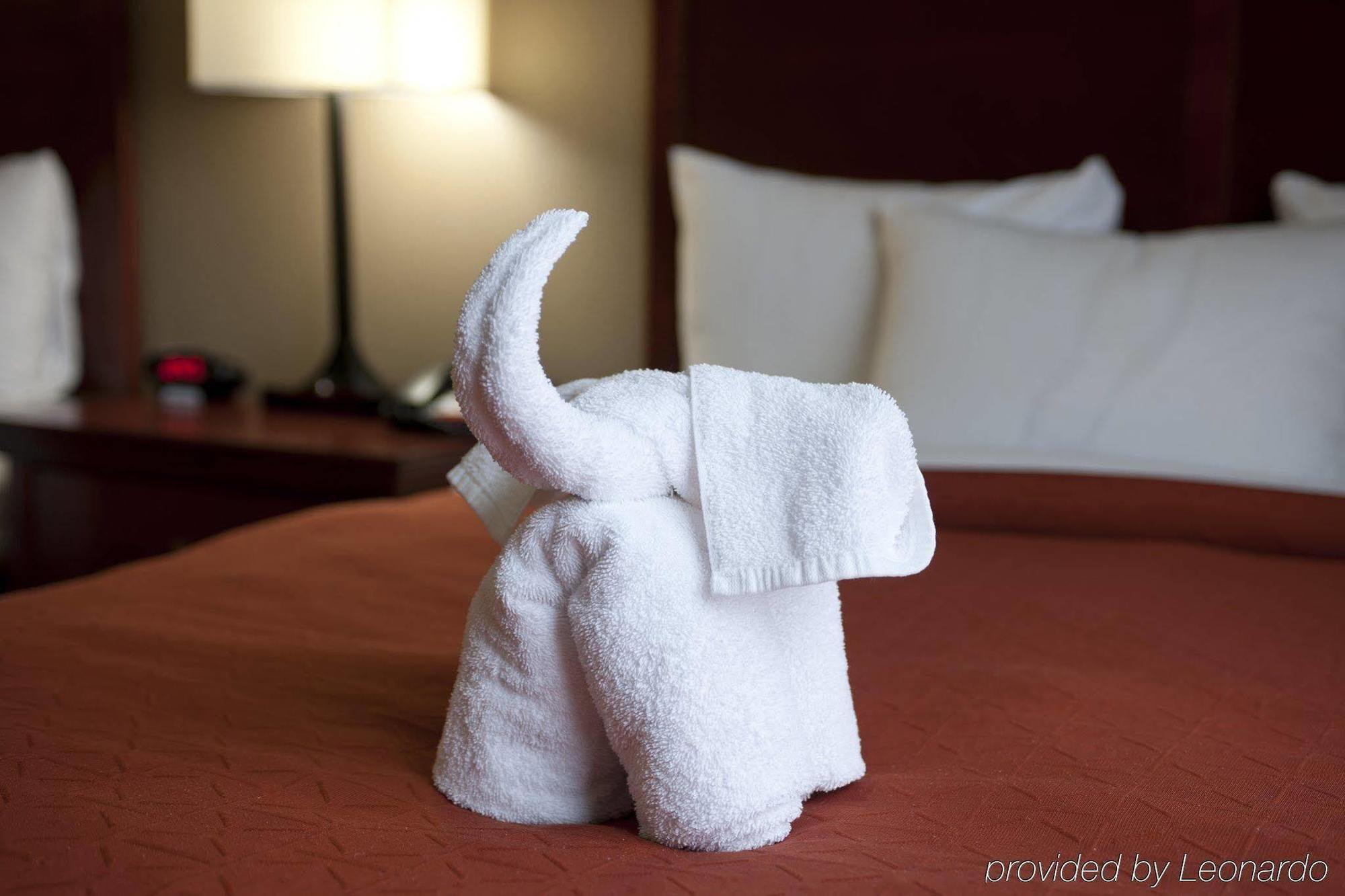 Seffner Inn And Suites Dış mekan fotoğraf